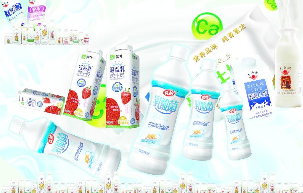 乳酸菌 小小微生物，守護(hù)大健康——日用百貨中的健康衛(wèi)士